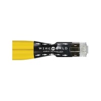 WIREWORLD Chroma8 Twinax Ethernet (와이어월드 트윈액스 이더넷) 네트워크케이블[1.5m/2m/3m]